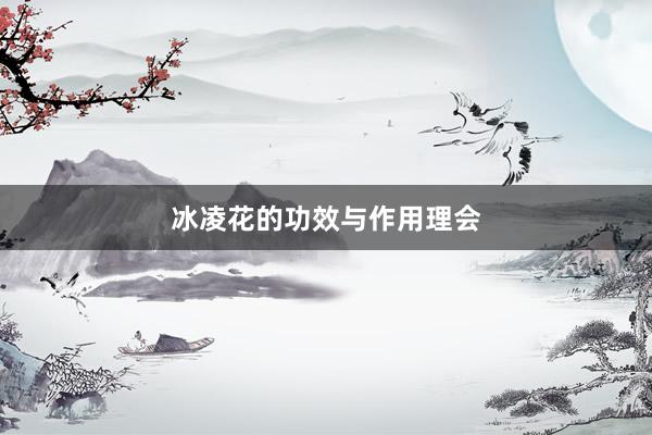冰凌花的功效与作用理会