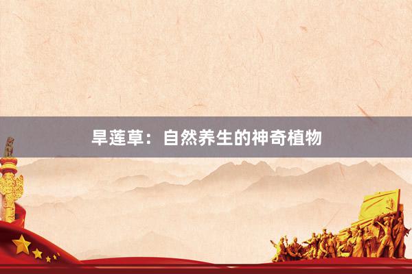 旱莲草：自然养生的神奇植物