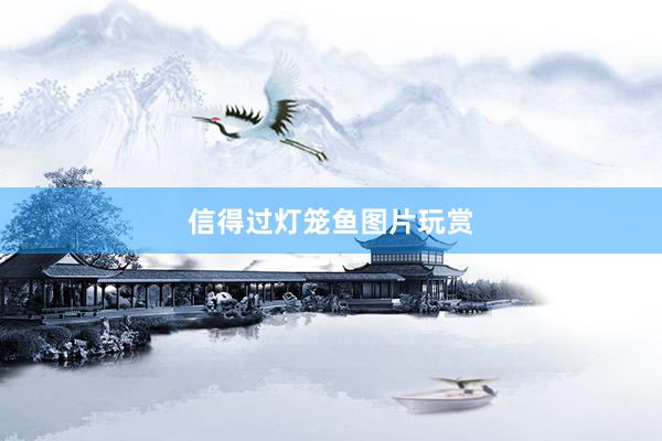 信得过灯笼鱼图片玩赏