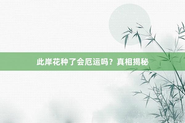 此岸花种了会厄运吗？真相揭秘